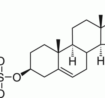 DHEA硫酸鹽多克隆抗體