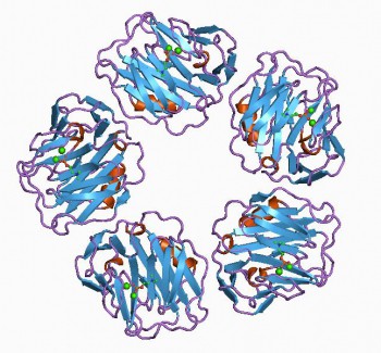 Yashraj Biotechnology Limited(YBL) C Reactive Protein (CRP)