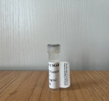 Pepsinogen I Monoclonal Antibody, Purified A45270489P