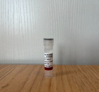 Anti-Elastase mAb (clone EL01),MT-16EL01