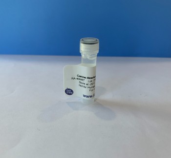 Canine Heartworm Antigen,RA-40HRT