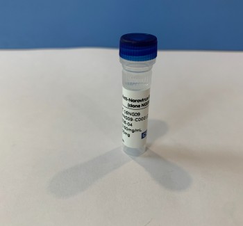 Anti-Norovirus GI mAb (clone NG09),MT-16NG09