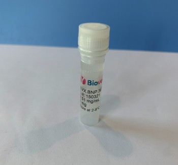 Purified sheep monoclonal antibody BNP.3E7