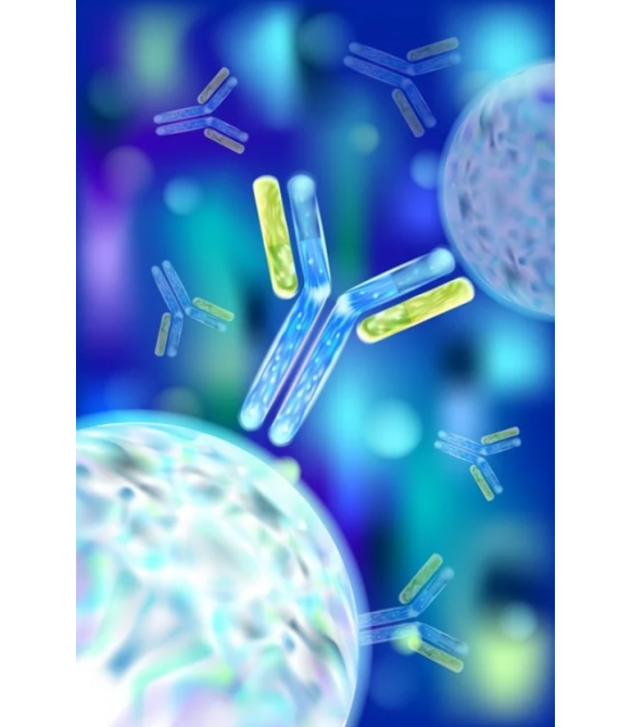 Calcitoninogen (PCT) Test Kit（fluorescence immunochromatography）