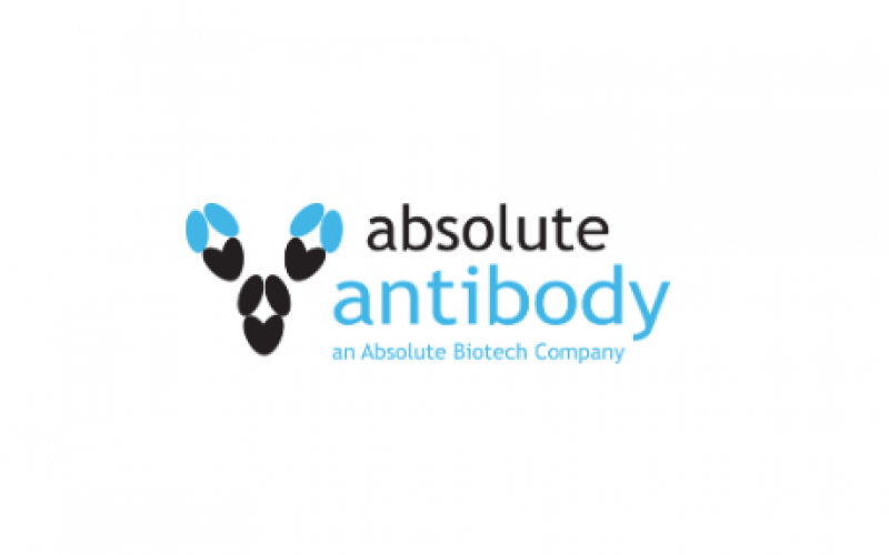 Absolute Antibody